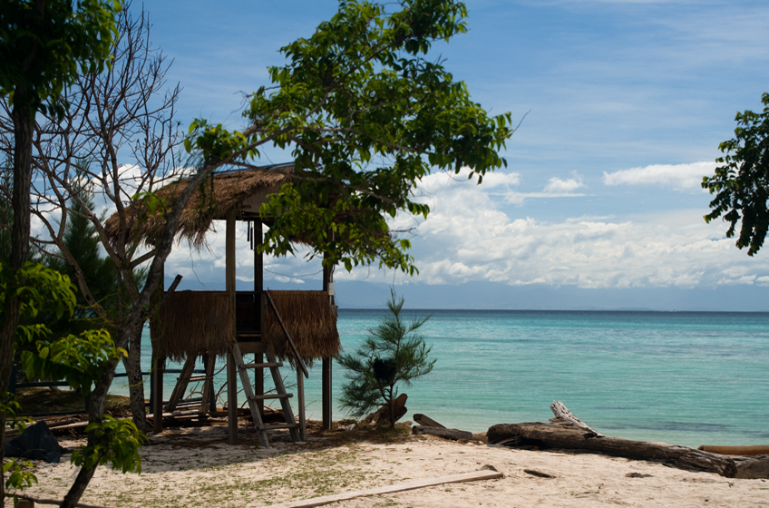 Mantanani Island, where is all this wood from. 1