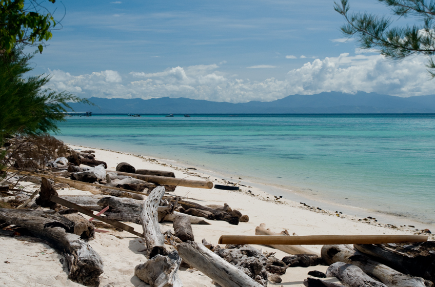 Mantanani Island, where is all this wood from. 2