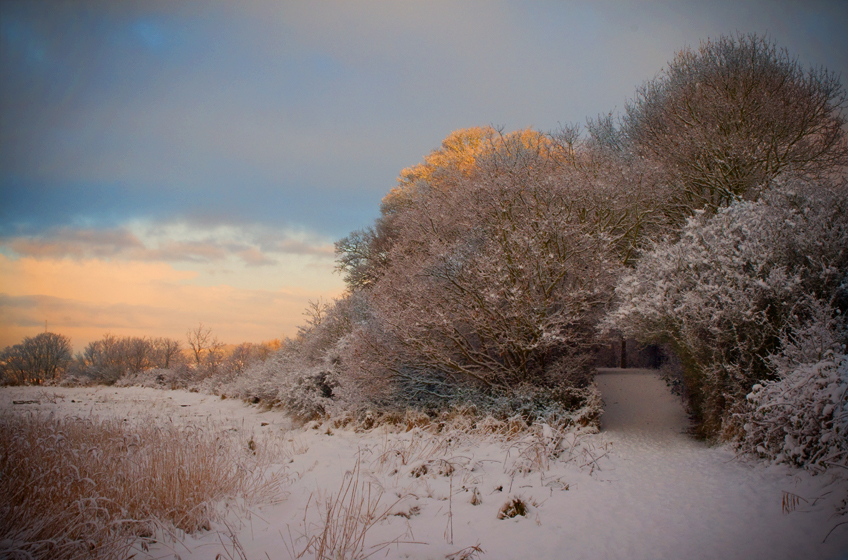 Wivenhoe in the snow 2